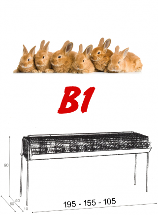 Gabbia conigli ingrasso B1