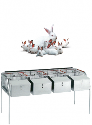 Rabbit cage for mares F4 - 1