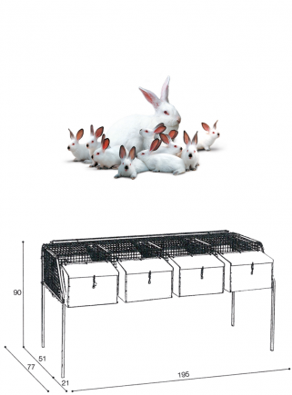 Rabbit cage for mares F4 - 2