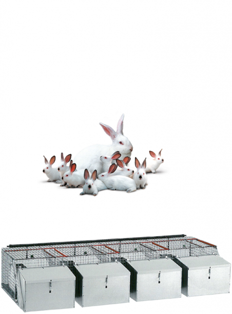Rabbit cage for mares 4N - 1