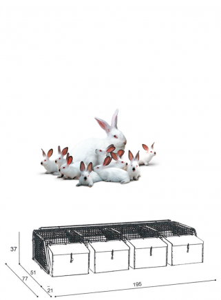 Gabbia conigli fattrici 4N cesto