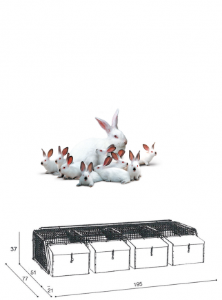 Rabbit cage for mares 4N - 2