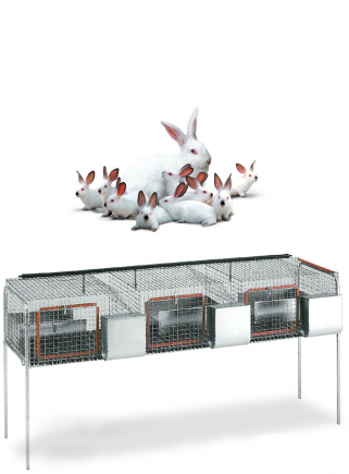 Rabbit cage for mares F3 - 2