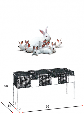 Rabbit cage for mares F3