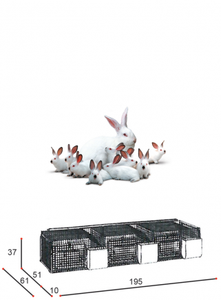 Gabbia conigli fattrici 3N cesto
