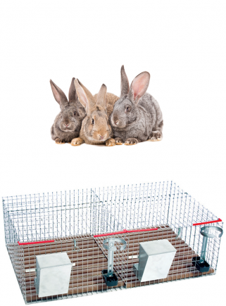 Rabbit cage basket 2 boxes - 1