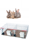 Rabbit cage basket 2 boxes - 2