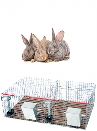 Cage for weaning rabbits 2 boxes