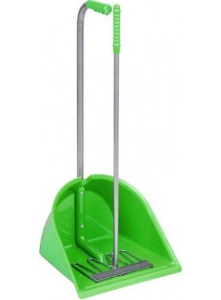 Dustpan complete with rake