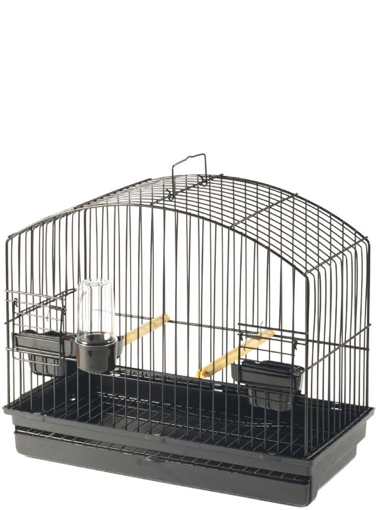 STA display cage BORDER - 1