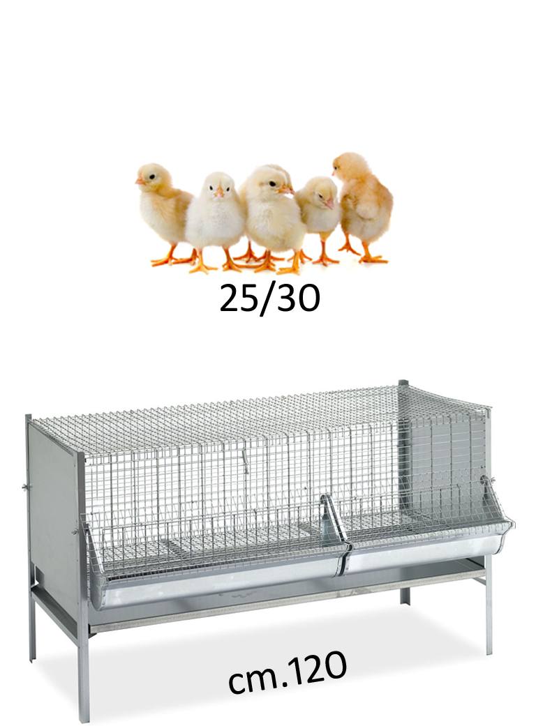 Gabbia polli/pulcini cm.120x50