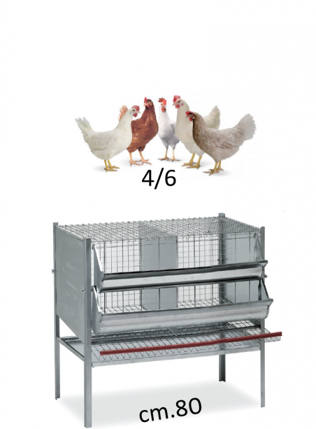 Chicken cage 80 cm - 1