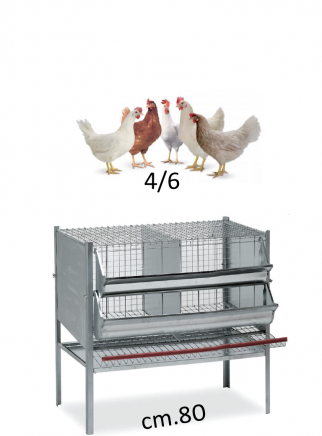 Chicken cage 80 cm - 1