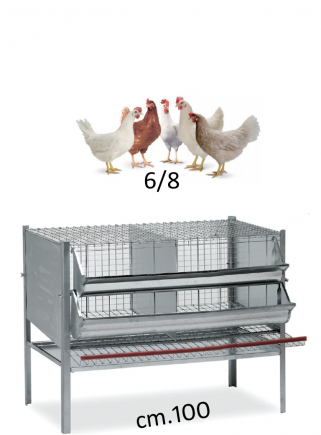 Chicken cage 100 - 1 cm