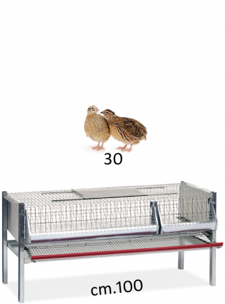 Cage for laying quails 100 - 1 cm