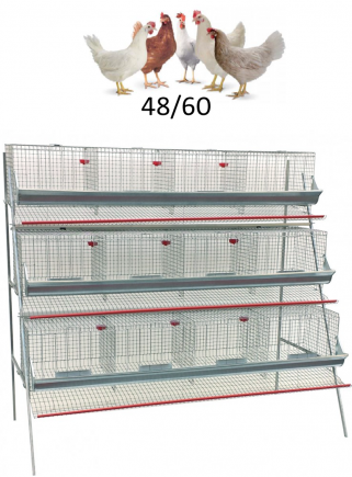 3 - 1 floor hen cage