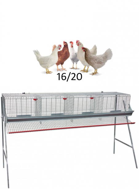 Chicken cage floors 1 - 1