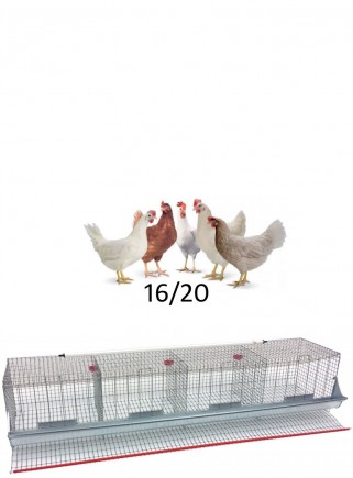 Cage basket hens cm.210 - 1