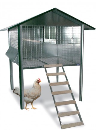 Outdoor chicken coop for laying hens - 1
