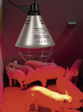 Philips infrared lamp 150 watt - 6