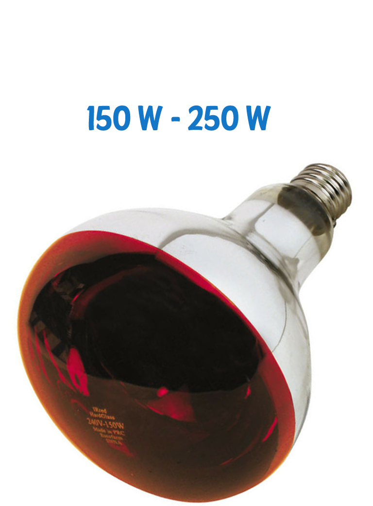 Lampada infrarossi watt 150