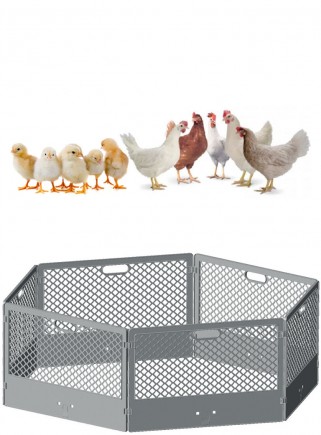 Enclosure for chicks, puppies, small animals - 1