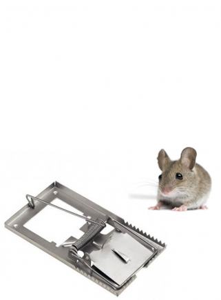 Snap mouse trap