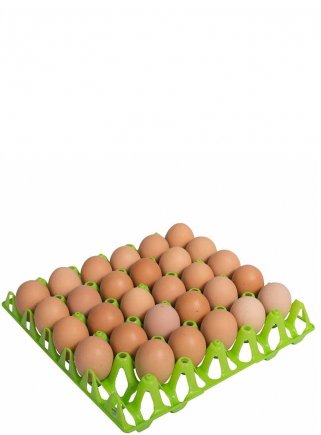 Contenitore vassoio in plastica 30 uova - 4