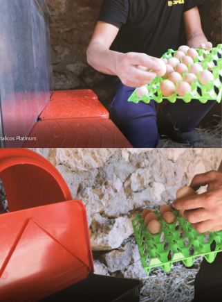 Contenitore vassoio in plastica 30 uova