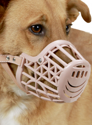 Plastic muzzle