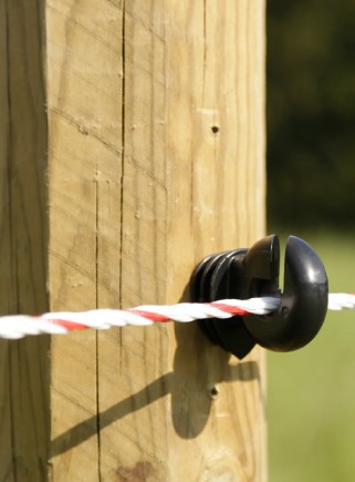Isolatore filo corda ad anello per palo legno